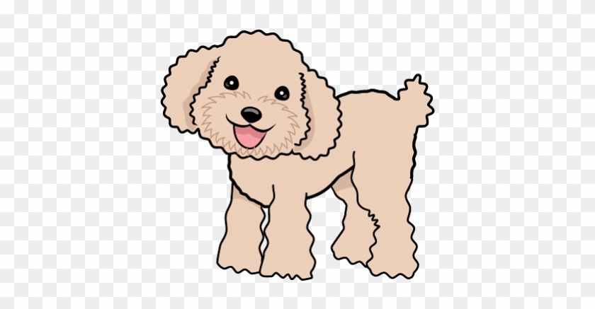 Google 検索 Poodles, Cute Dogs, Standard Poodles, Poodle, - Google 検索 Poodles, Cute Dogs, Standard Poodles, Poodle, #1530700