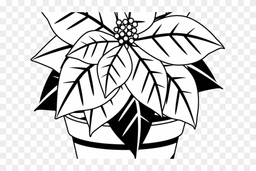 Poinsettia Clipart Outline - Poinsettia Clipart Outline #1530701