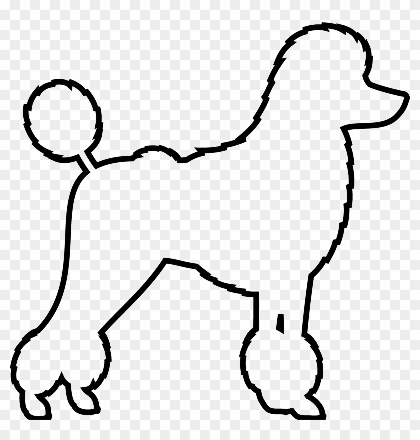 Drawn Poodle Pet - Drawn Poodle Pet #1530705