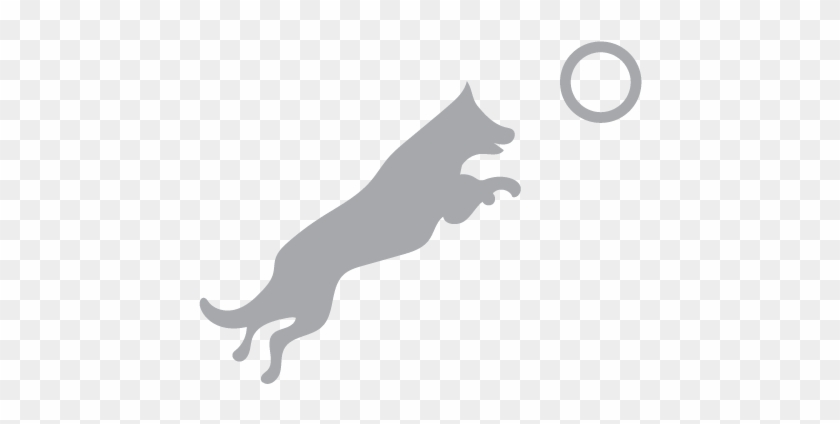 Dog Puller - Dog #237307