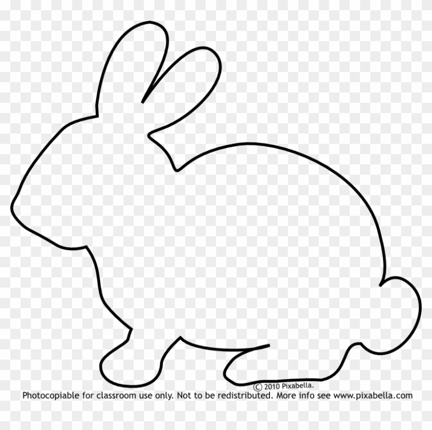 Bunny Rabbit - Bunny Outline #237553