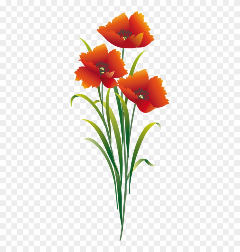 Tubes Fleurs - Hippeastrum #237551