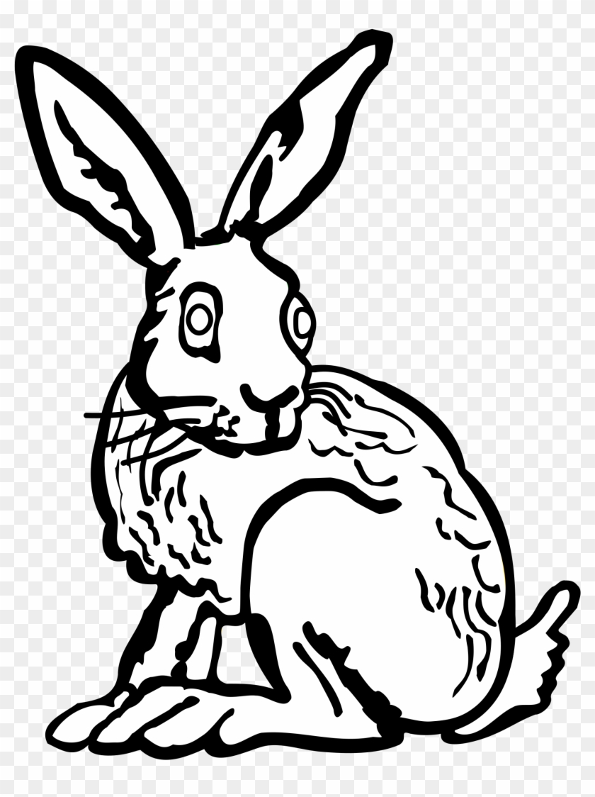 Big Image - Jackalope Warrior Rabbit Men*67nu - Dark - Xxl #237563