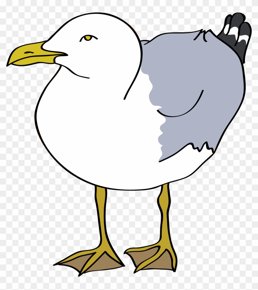 Big Image - Seagull Clipart #237573