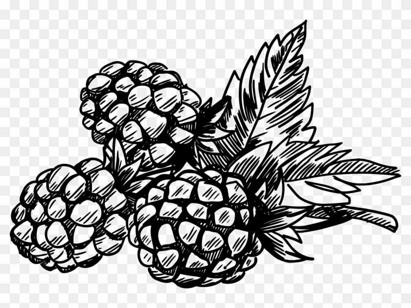 By Firkin - Berries Clipart Black And White #237612