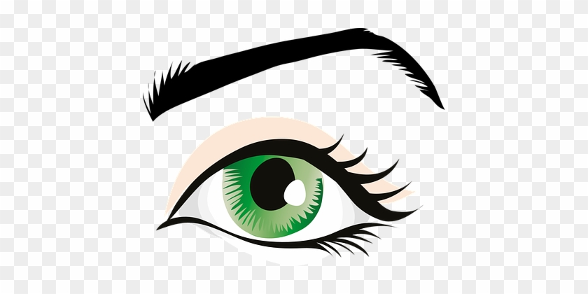 Auge, Grünen Augen, Augenlid, Iris - Human Eye Clip Art #237681