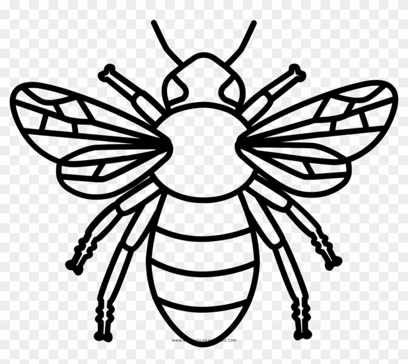 Ultra Coloring Pages - Abeja Para Colorear #237693