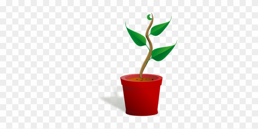 Flowerpot Growing Leaf Plant Plant Plant P - Growing Plant Clip Art #237755