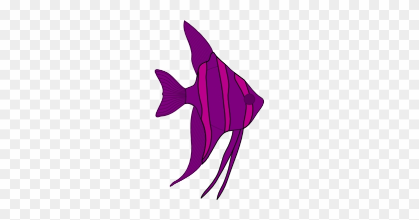 Purple Angelfish Clip Art - Clip Art #237765