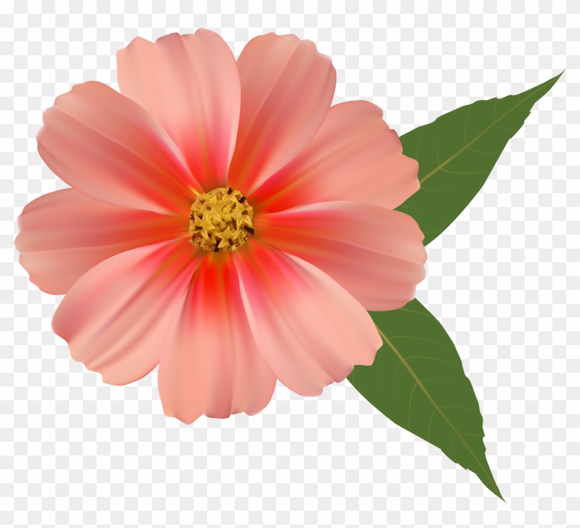 Orange Flower Png Image Clipart - Flowers Png #237794