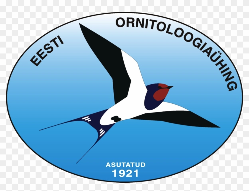 Estonian Ornithological Society - Cebu Institute Of Technology University #237813