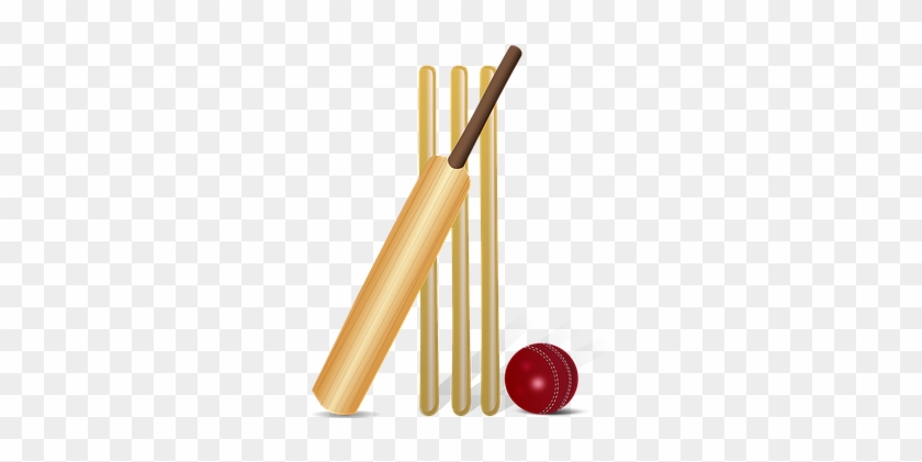 Grille, Kricketschläger, Fledermaus - Cricket Bat And Ball Clipart #237875