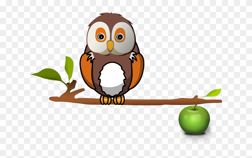 Apple Zweig Eule Baum Eule Eule Eule Eule - Owl On Branch Clipart #237890