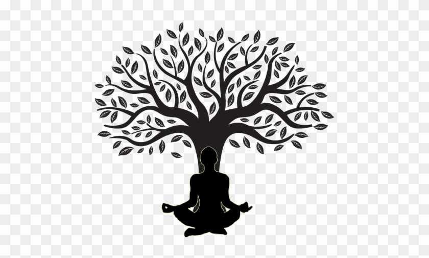 Z-gel - Tree Silhouette Png #237930