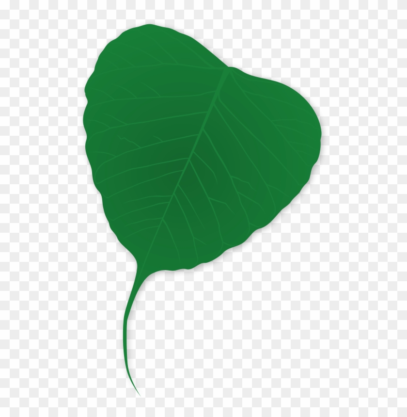 Ginko Leaf - Plants #238044