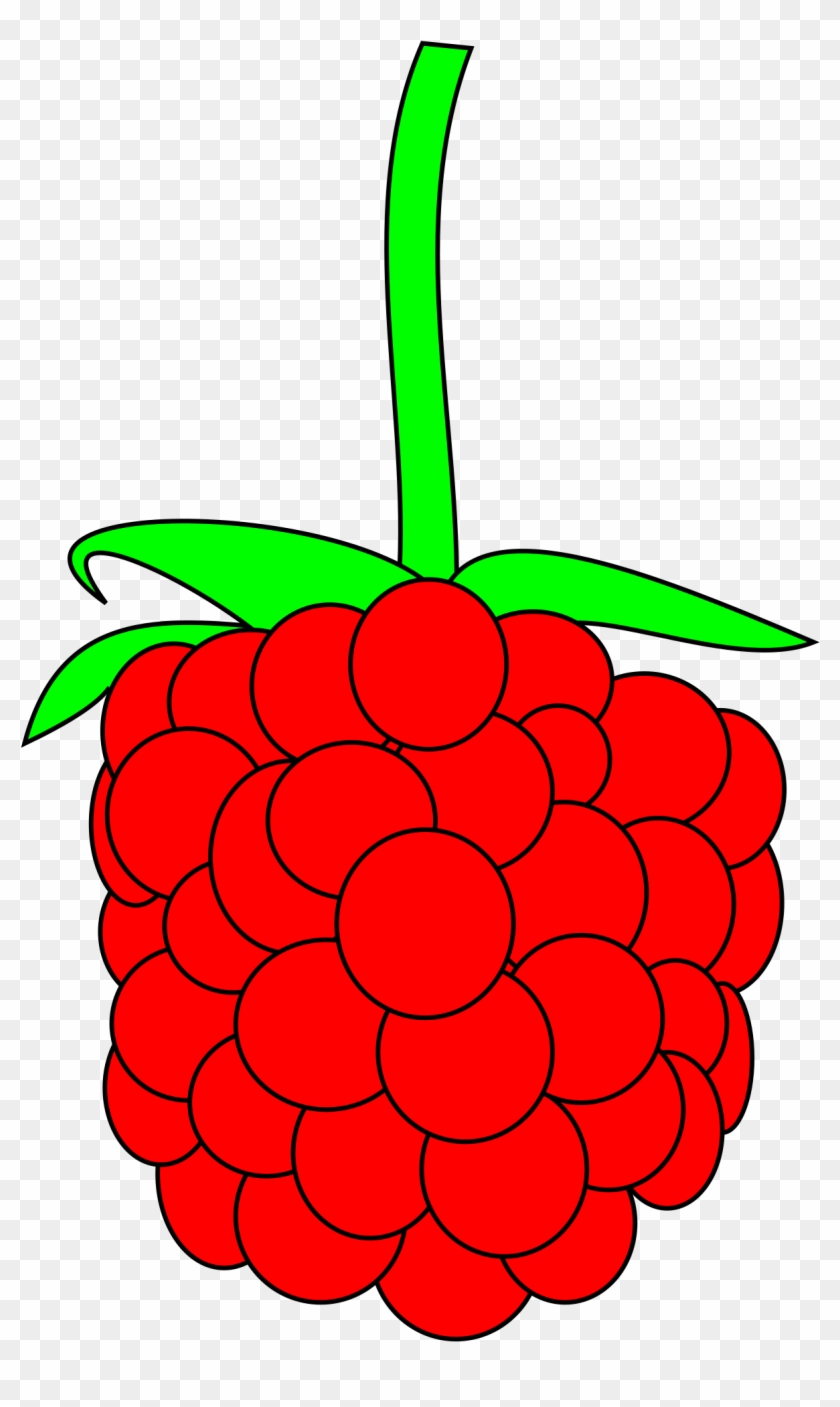 Raspberry Clipart - Custom Red Raspberry Shower Curtain #238209