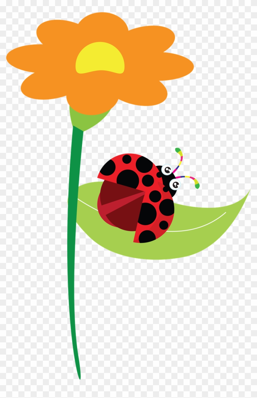 Joaninha - Minus - Ladybird Beetle #238297