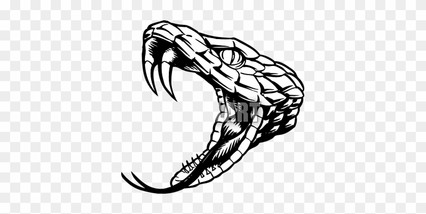 Snake - Rattlesnake Black And White #238392