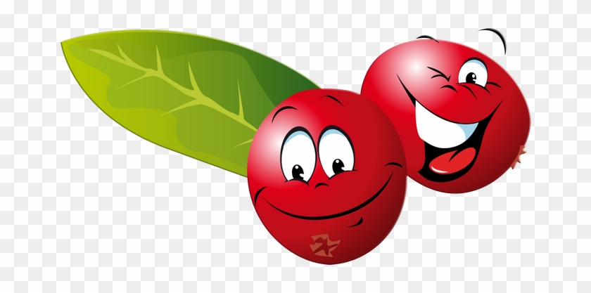 cranberries clip art