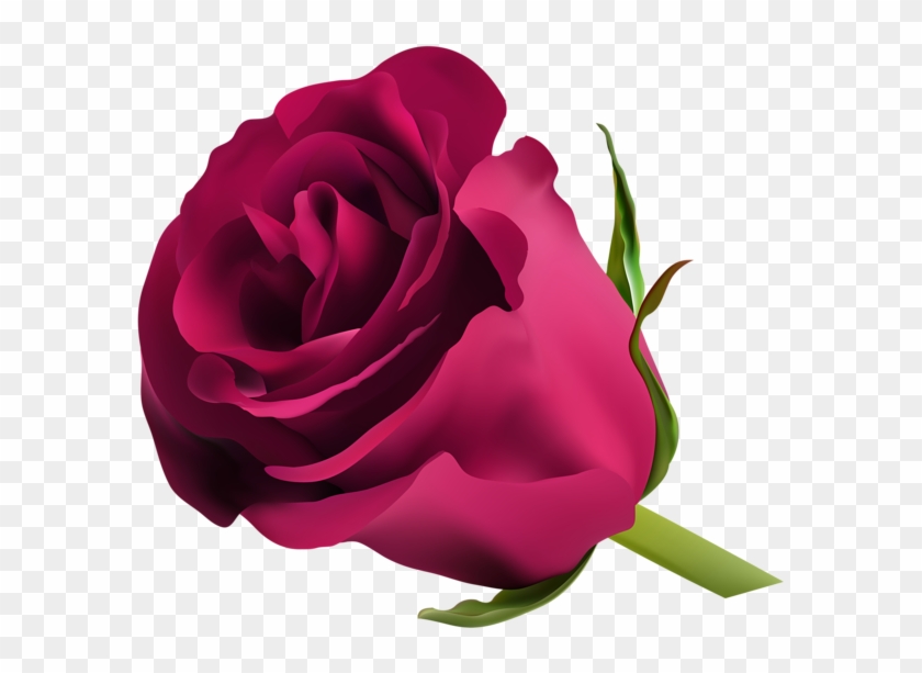 Pink Rose Png Clip Art - Blue Rose Png #238515