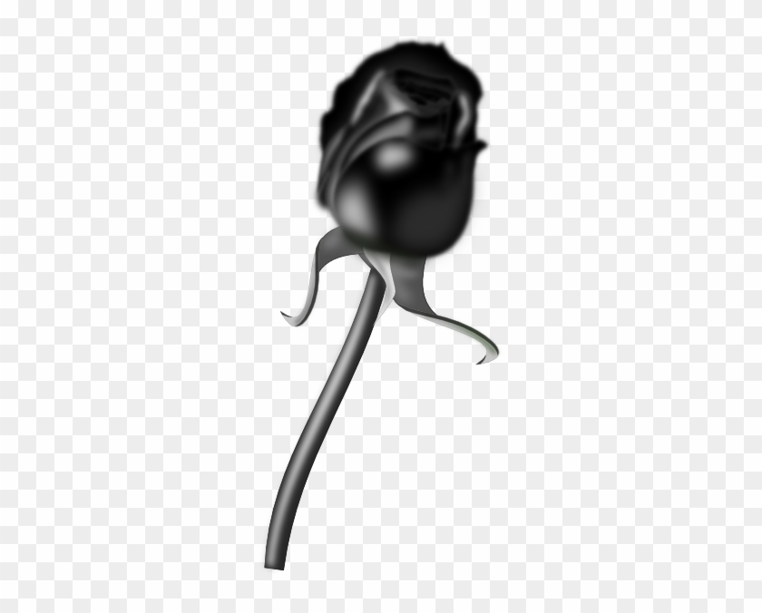 Black Rose Art Transparent #238529