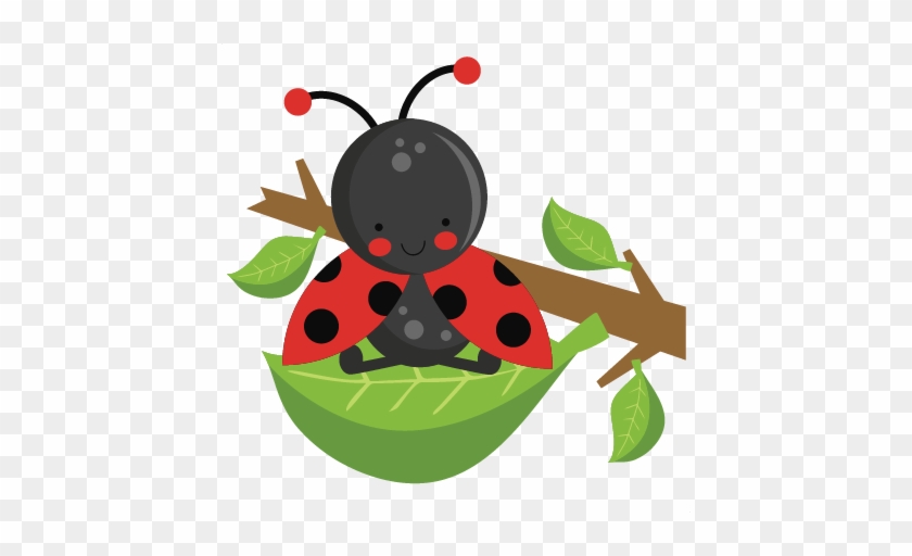 Home Sweet Home Clipart 326 Ladybug 3 Clip - Ladybug On A Leaf Clipart #238578