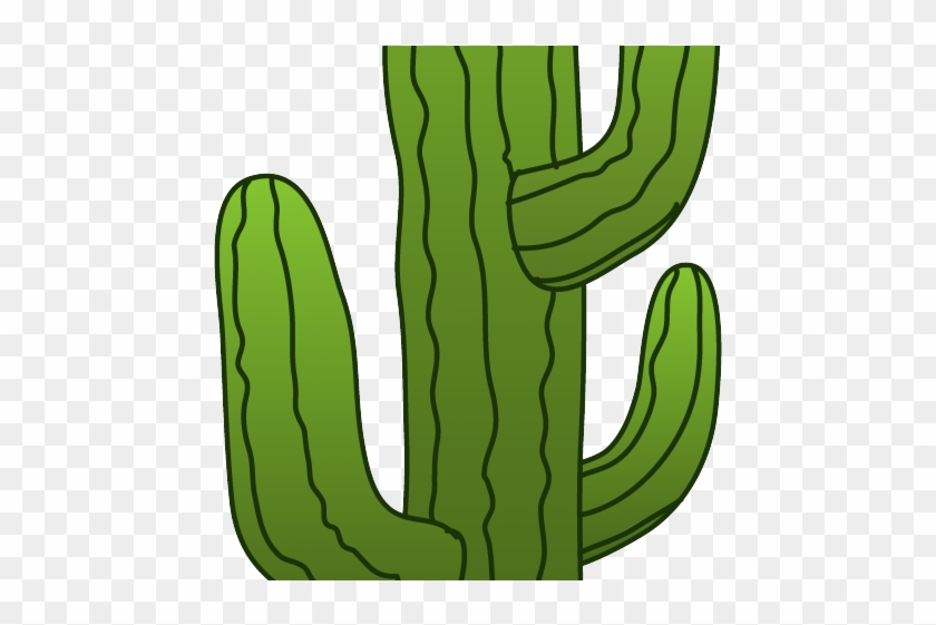 Animated Cactus Cliparts - Cactus Png Cartoon #238665