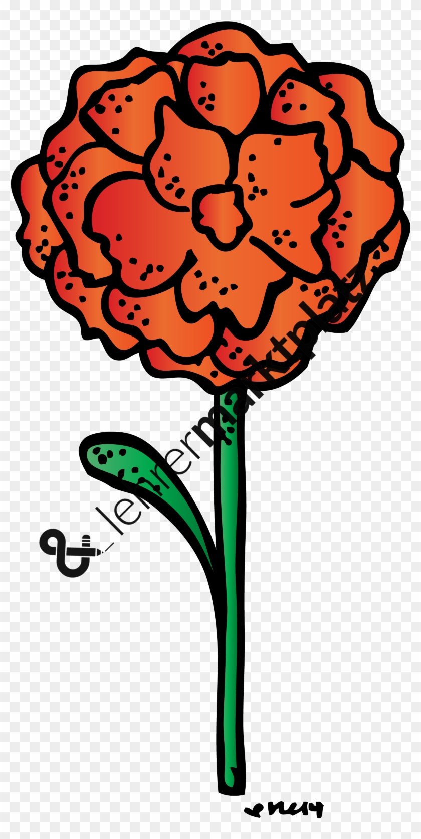 Blumen Biologie, Daz / Daf, Deutsch, Englisch, Lebenskunde, - Clip Art #238931