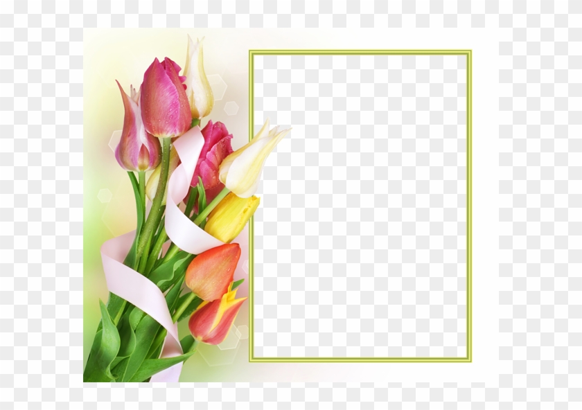 Rahmen, Deko, Foto Online, Blumenfotos, Rosenblüten, - Tulips Frame Png #238988