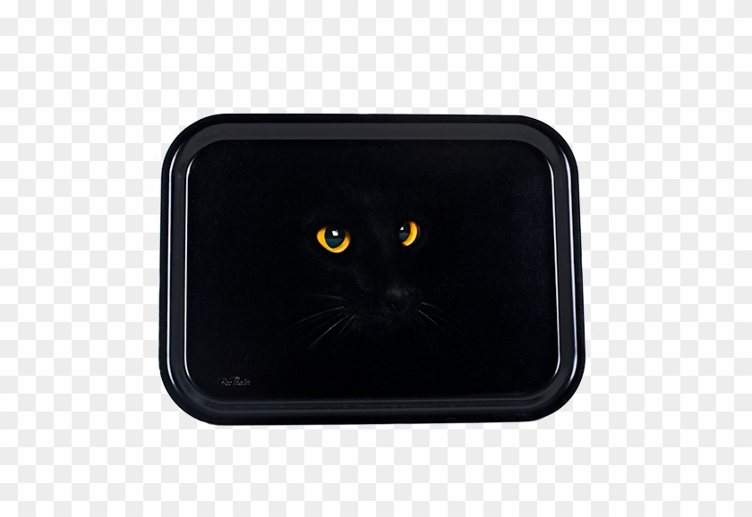 Tarjotin - Black Cat #239065