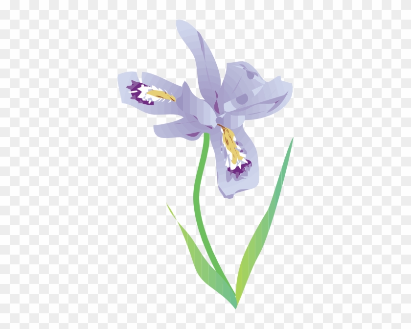 Iris Flower Clipart - Iris Clipart #239114