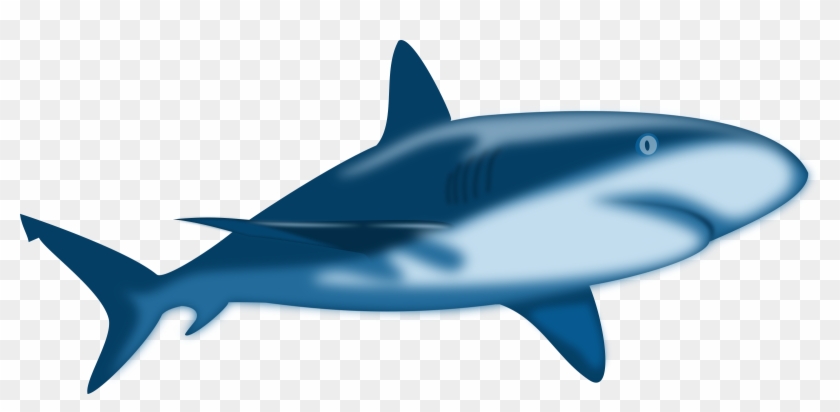 Free Shark Clipart - Cartoon Great White Shark #239302