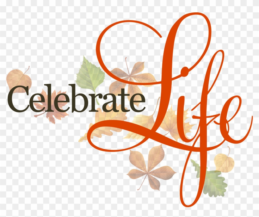 Celebrate Life - Celebrate Life #239977