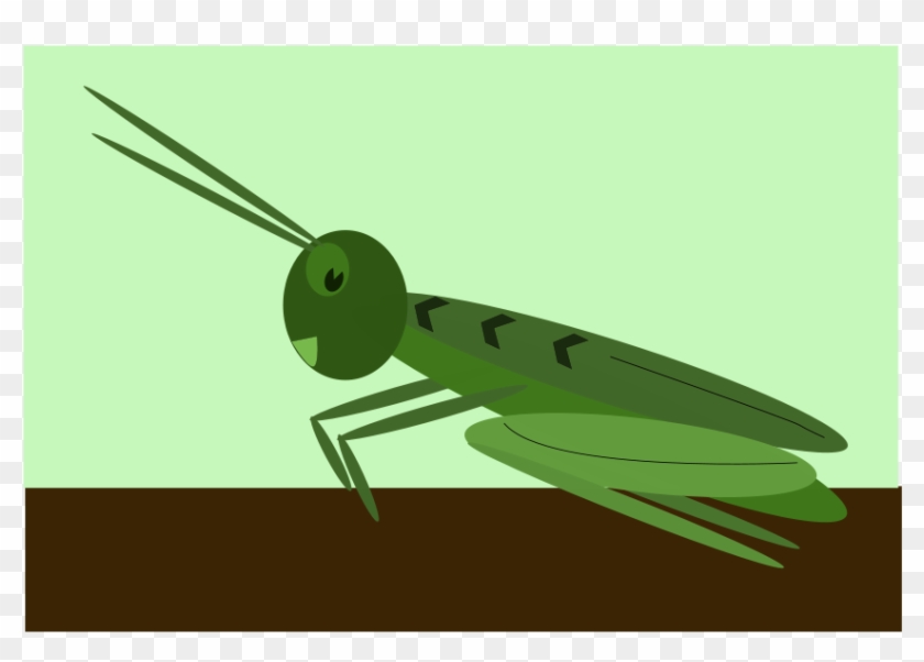 Grass Hopper Svg Vector File, Vector Clip Art Svg File - Grasshopper #240215