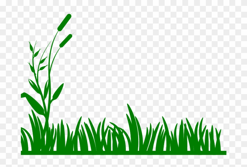 Backyard Bible School - Clip Art Grass Border #240297