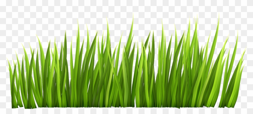 Grass Clipart Transparent - Clipart Grass Transparent Background #240303