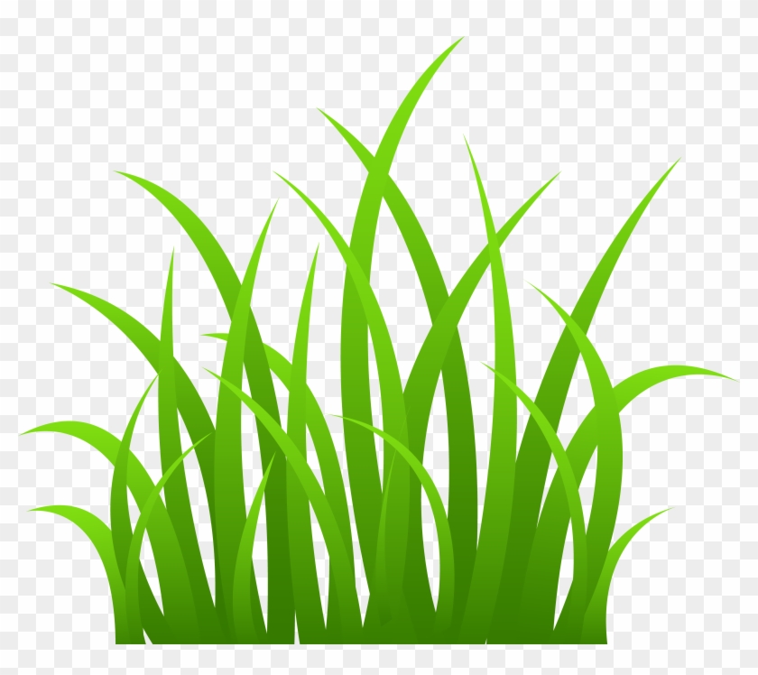 Grass Border Clipart - Signmission Please Stay Off Grass Thank You Sign 12" #240434