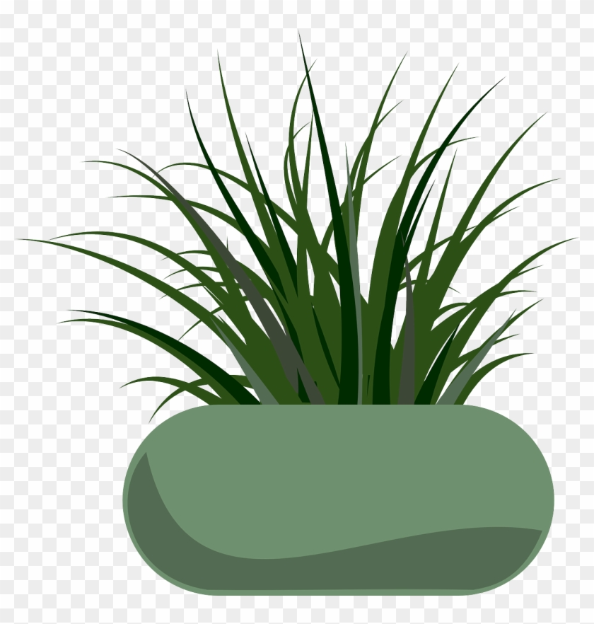 Medium Image - Grass Clipart #240424