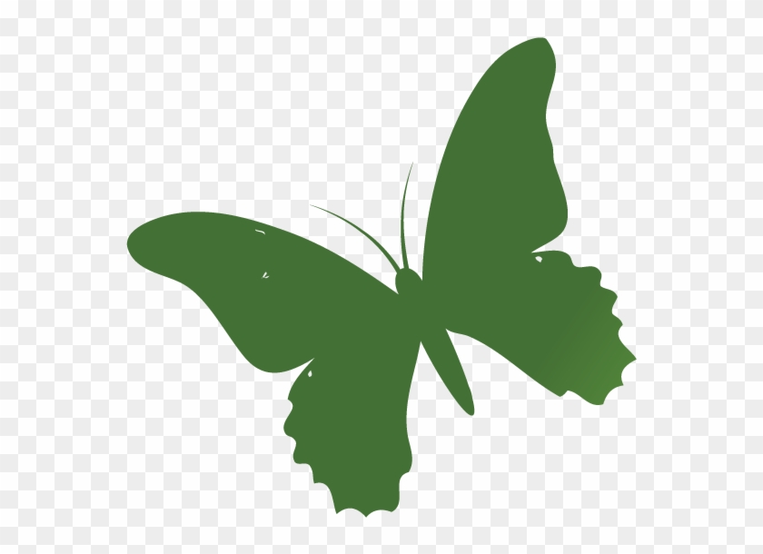 Cannstatter Volksfest #240435