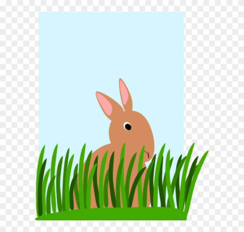 Rabbit Eating Grass Clipart - Cartoon Rabbit Eating Grass #240450