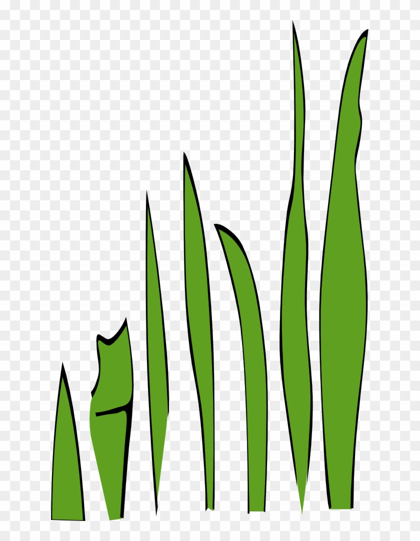 Cartoon Pictures Of Grass - Gambar Kartun Rumput Laut #240514