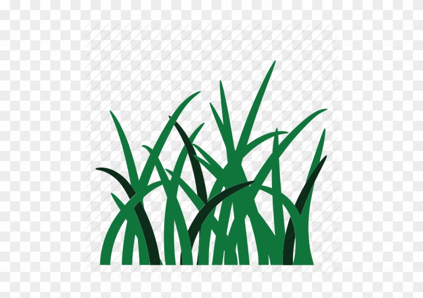 Weed Clipart Grass Root - Grass Icon #240548