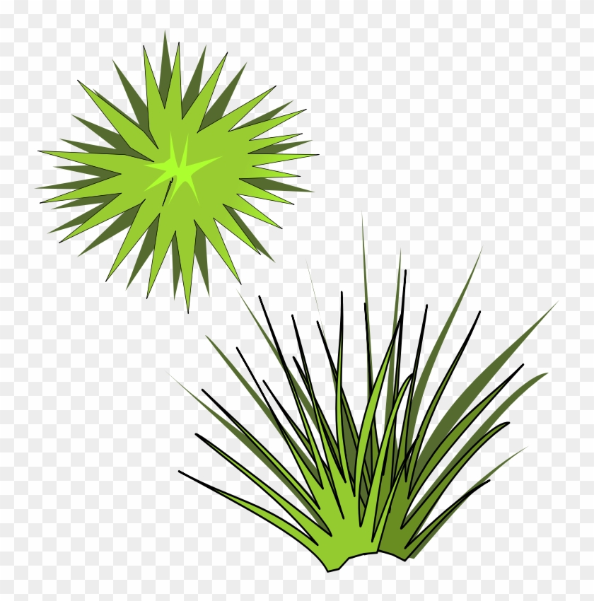 Clipart - Plant-05 - Spiky Plant Vector #240596