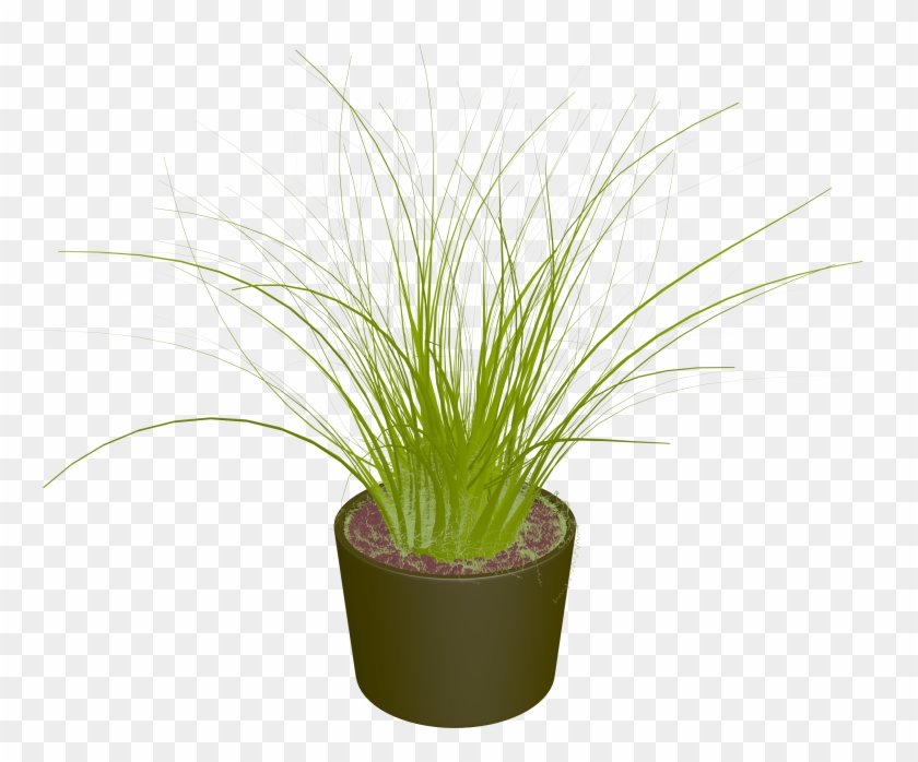 Plant Shrub Clip Art - Plant Shrub Clip Art #240871