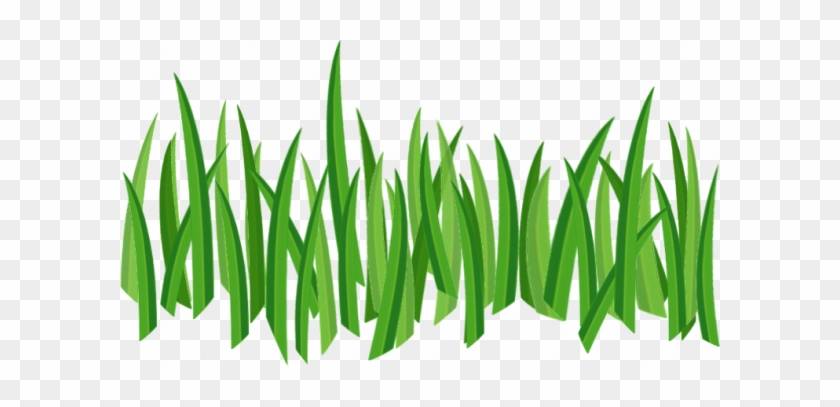 Grass Png Image, Green Picture - Grass Png Texture #240640