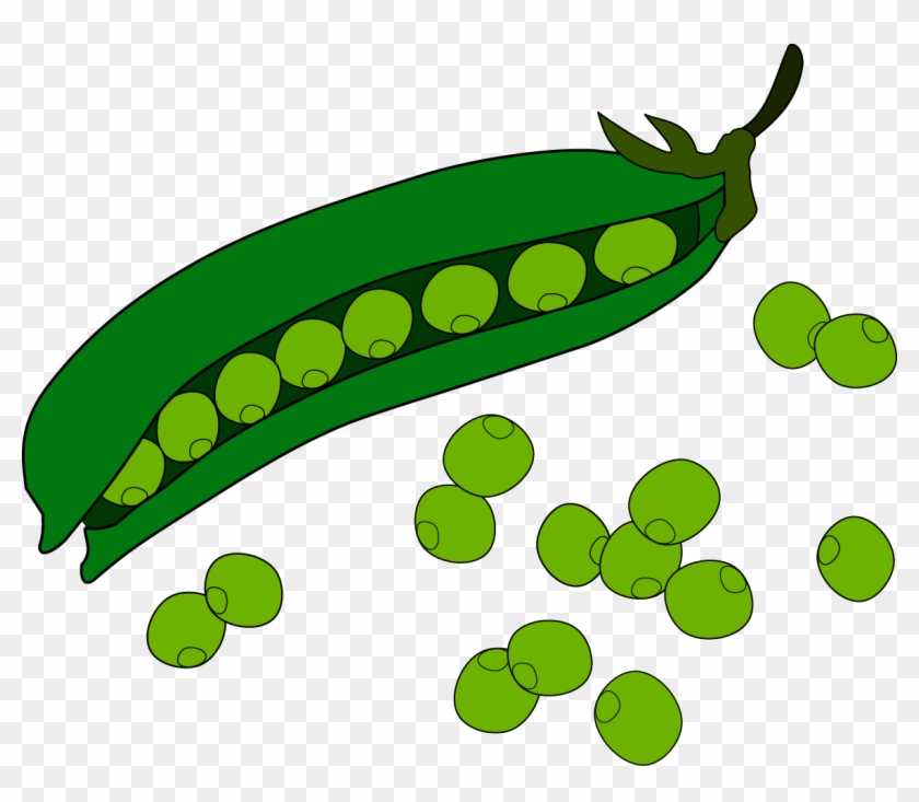 Pea Fruit Clip Art - Peas Vector Png #240669