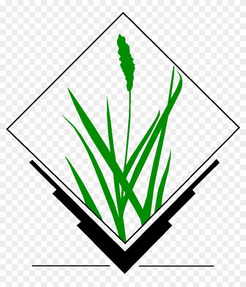Open Source Vector Images - Grass Gis #240677
