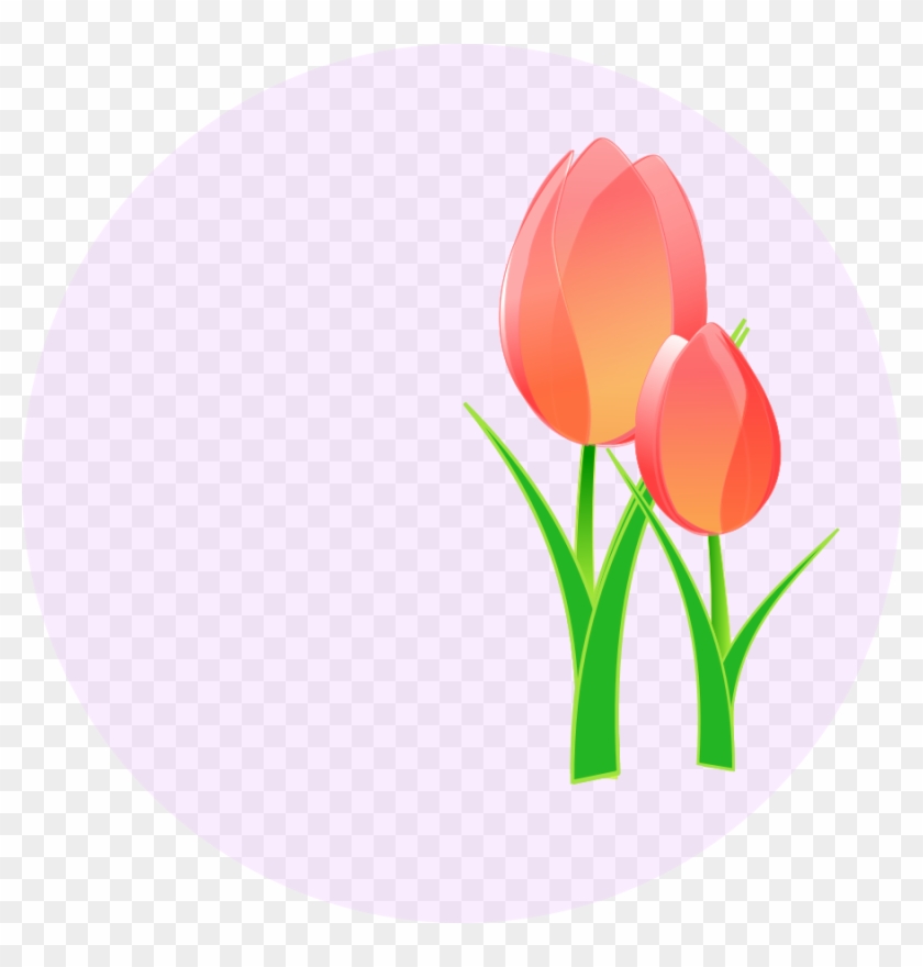 Art Tulips - Celebration Of Mothers Day #240696
