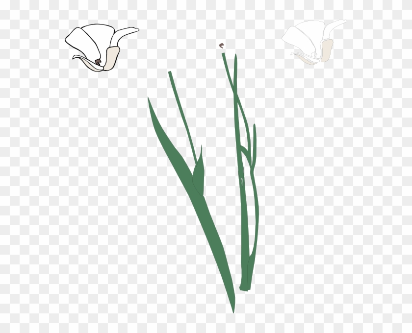 White Long Stem Flower Broke Apart Clip Art - Plant Stem #240697