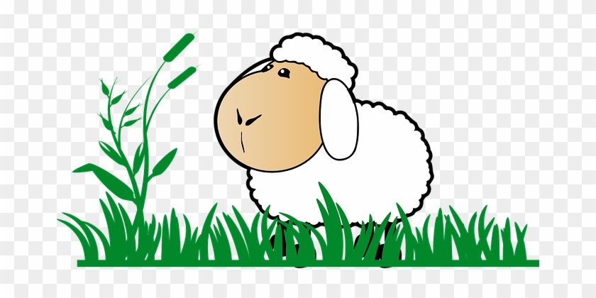 Grass Sheep Stand Watch Cartoon Green Whit - Land Where Prophets Preached The Gospels [book] #240709